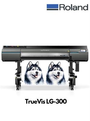 Truevis Lg-300 Plotter Roland Stampa E Taglio Uv