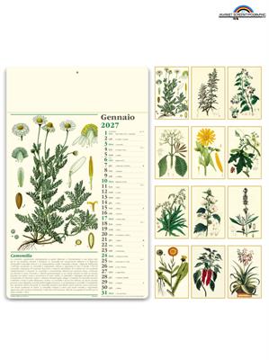 Pa011 Calendario Illustrato Erboristeria 31X52,5 Cm 70Gr