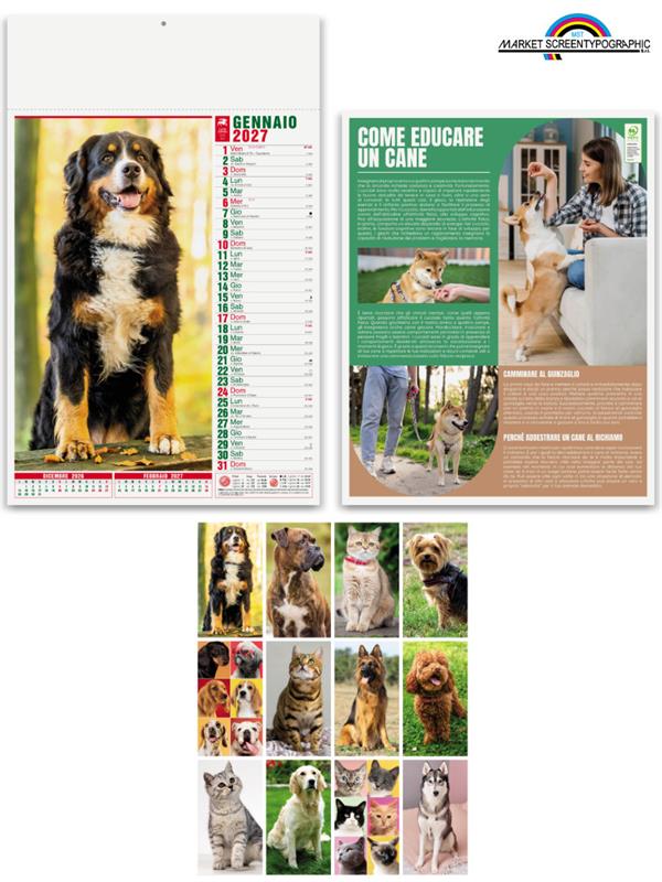 Pa108 Calendario Illustrato Cani E Gatti 30X47 12 Fogli 70Gr